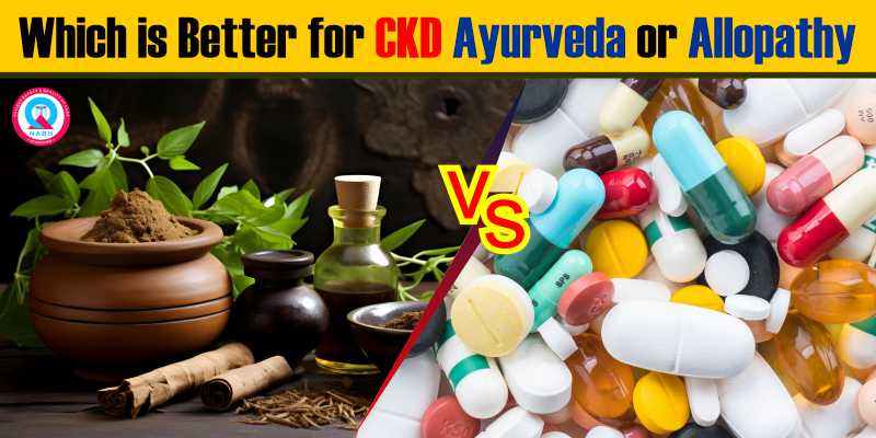 which-is-better-for-ckd-ayurveda-or-allopathy